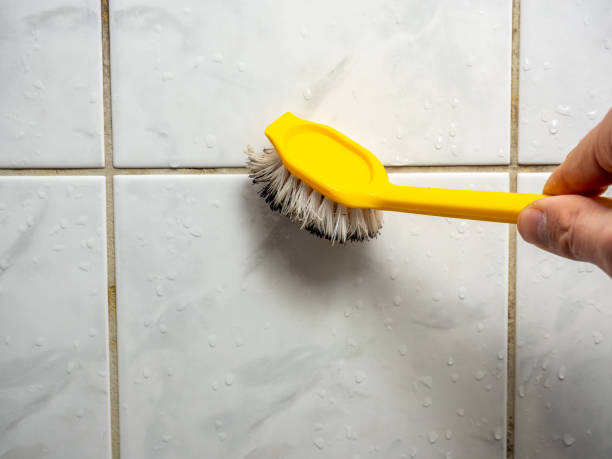 Best Mold Removal Near Me  in Arthur, IL
